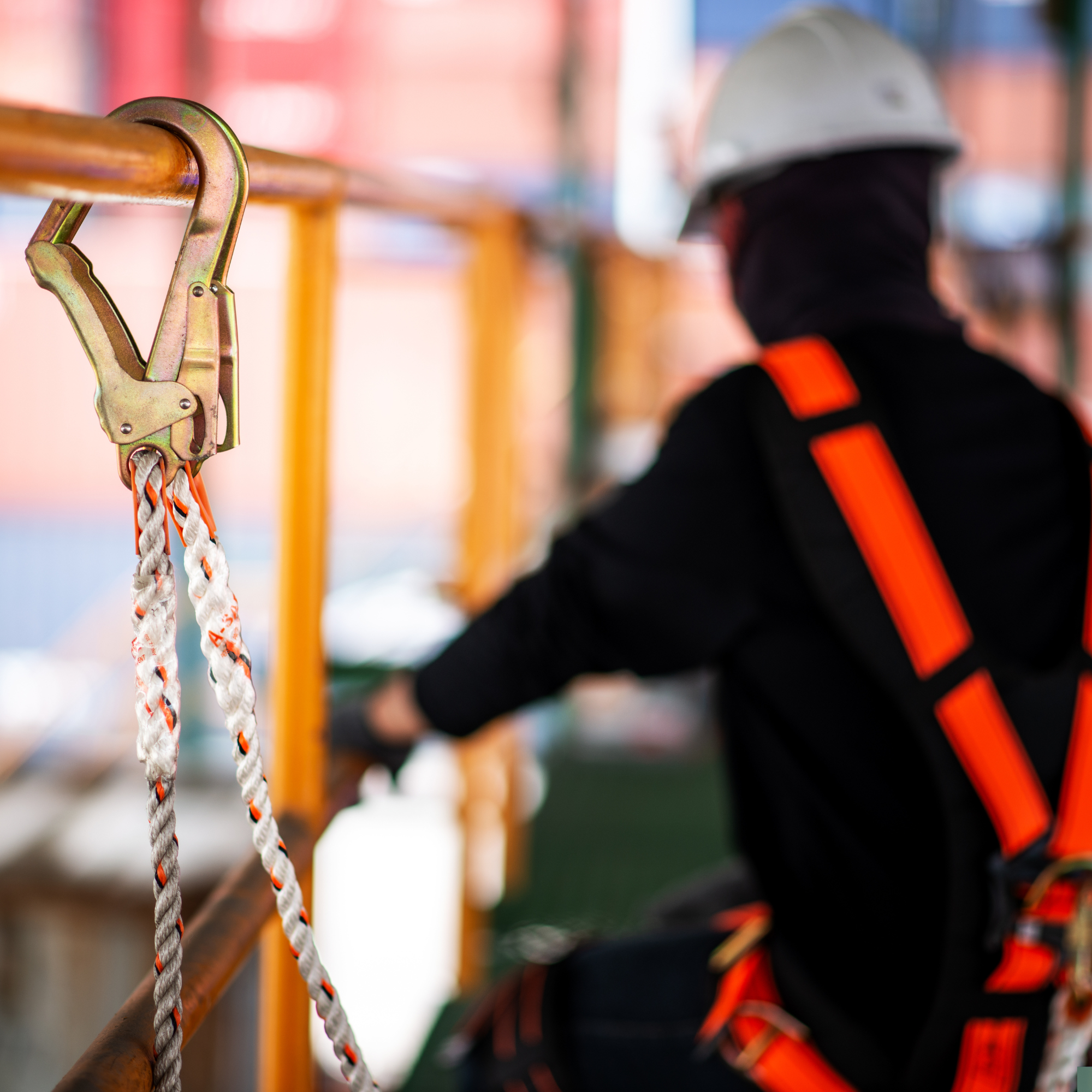 Safety harness